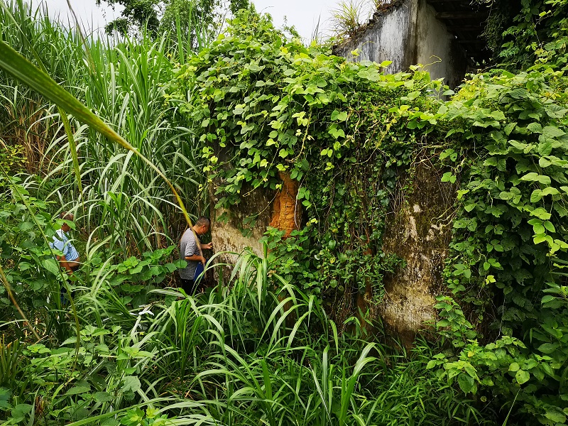 IMG_20190814_10197.jpg IMG_20190814_10197.jpg