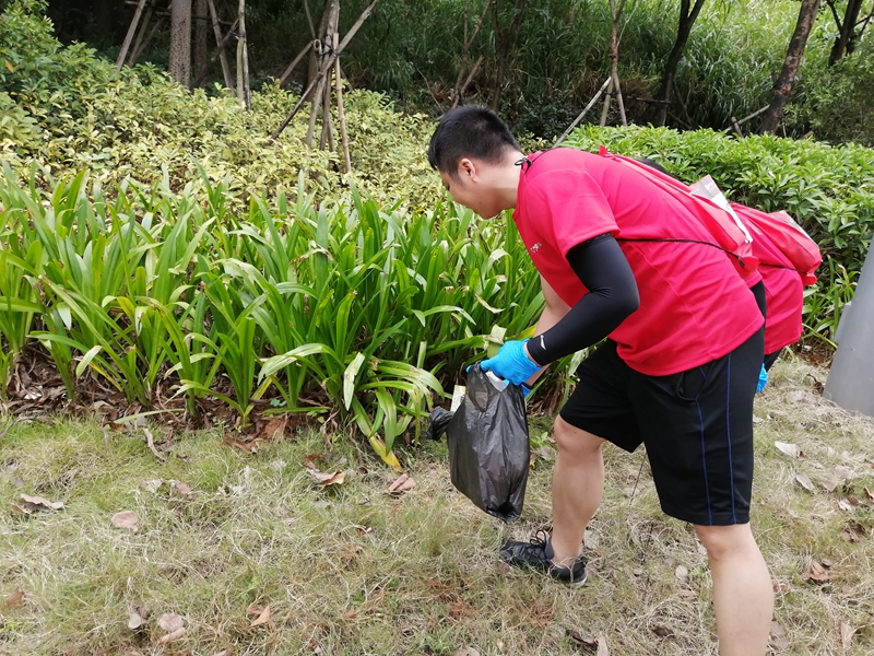 IMG_20190901_100648.jpg IMG_20190901_100648.jpg