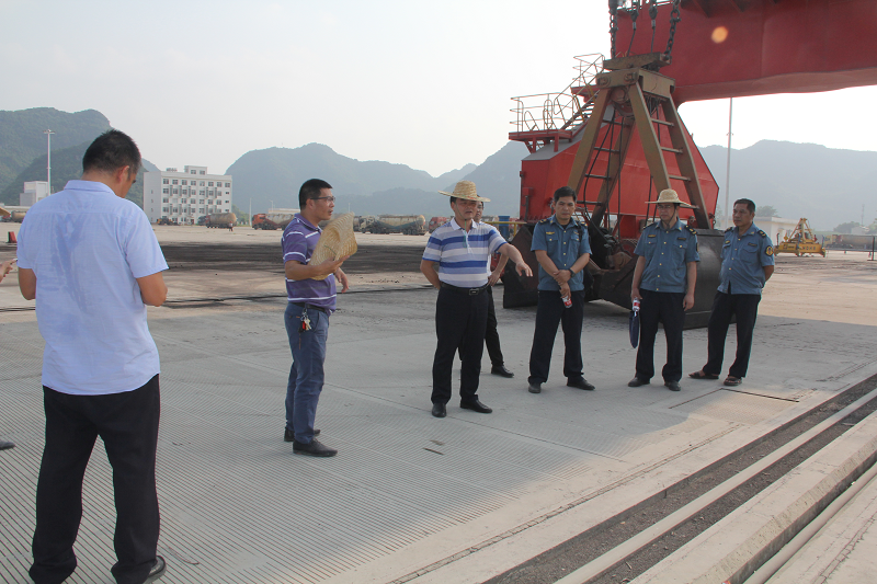 检查组在崇左港中心港区濑湍作业区现场图.png 检查组在崇左港中心港区濑湍作业区现场图.png