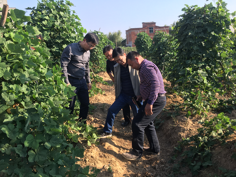 untitled3.png untitled3.png