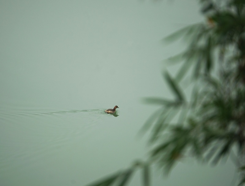 TIM图片20200310165556.jpg TIM图片20200310165556.jpg