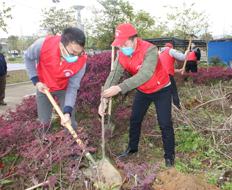 院内植树.jpg 院内植树.jpg