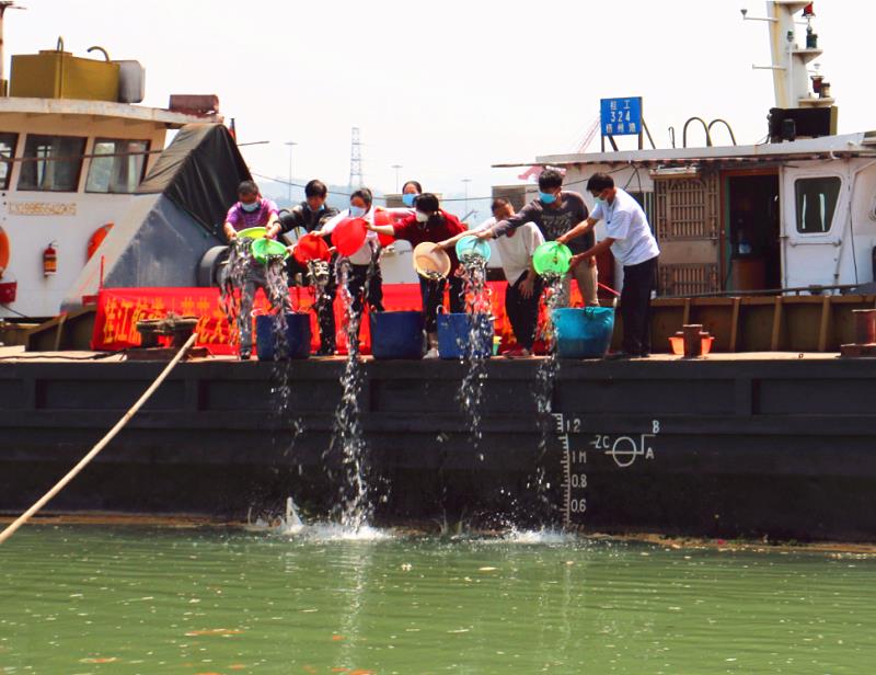 微信图片_20200417173936.jpg 微信图片_20200417173936.jpg