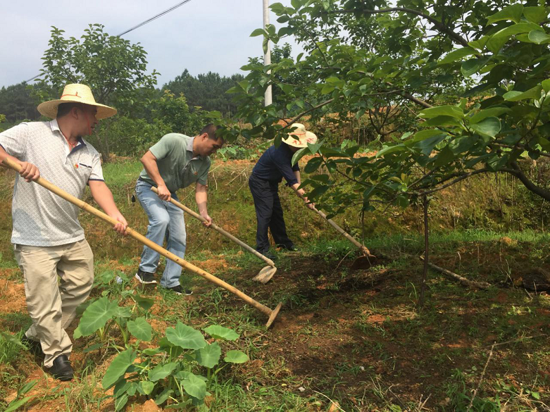 精准扶贫，助力农耕，党员同志走进田间地头.png