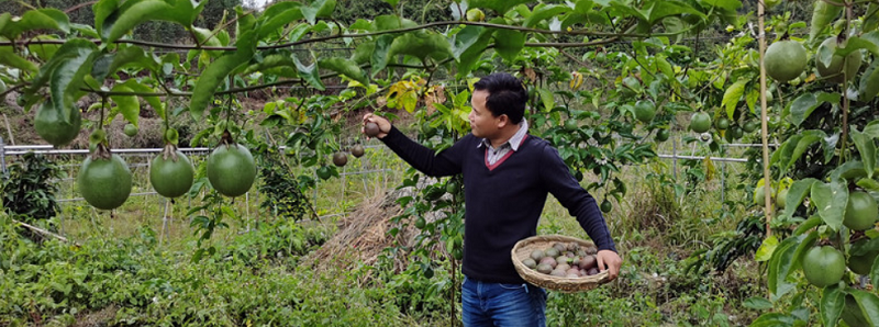 1605276646(1).png 1605276646(1).png