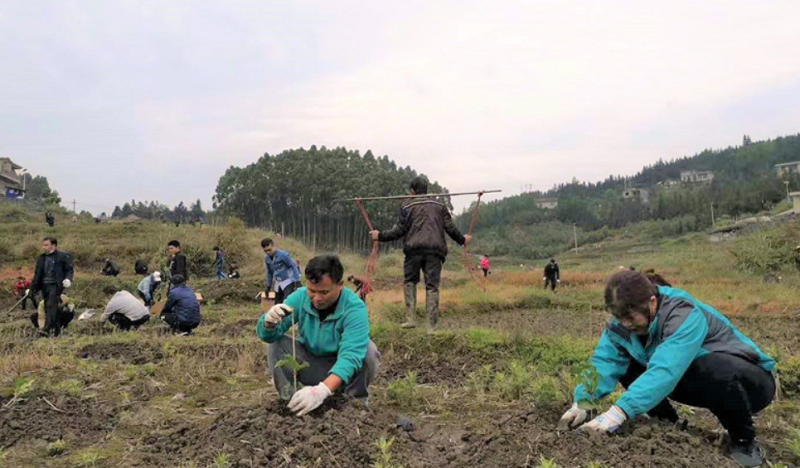 1605276727(1).png 1605276727(1).png