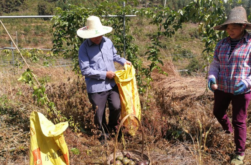 1605276778(1).png 1605276778(1).png