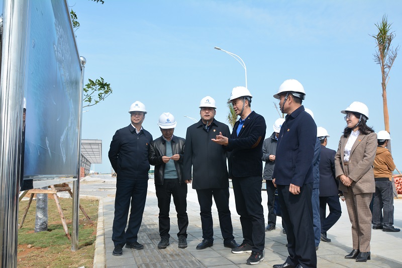 调研北海游轮码头工程建设情况.jpg