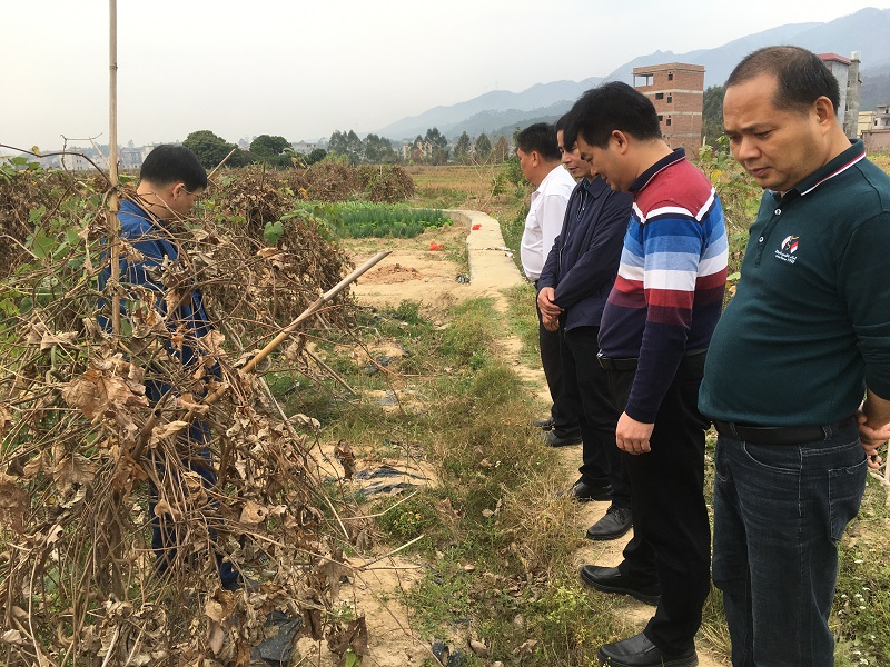 微信图片_2021020911050210.jpg 微信图片_2021020911050210.jpg