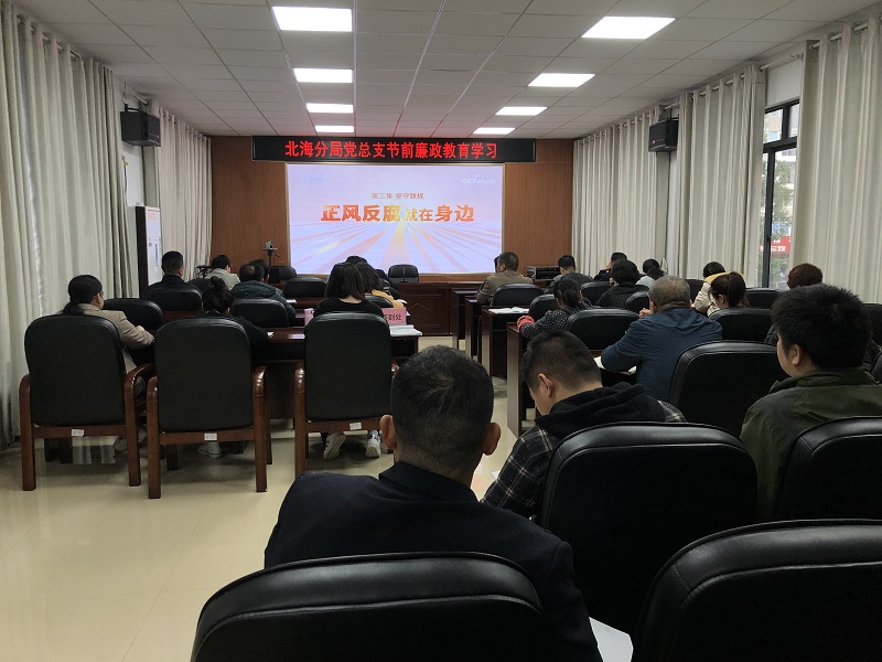 北海分局党总支开展廉政教育学习2.jpg