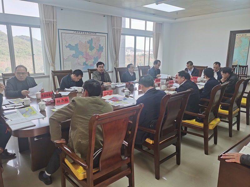 蒋红林副市长主持召开广西左江山秀船闸扩能工程项目建设协调会.jpg