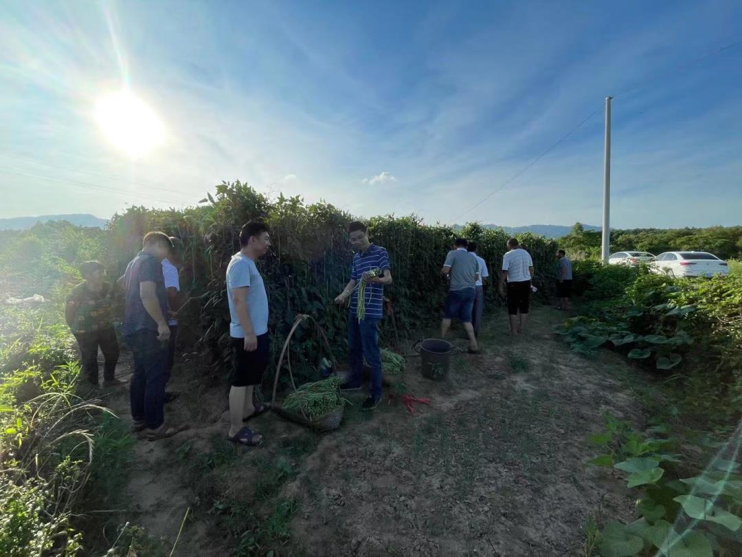 _202106伍志龙书记带队到全州永岁乡罗家湾调研豆角生产加工基地.jpg _202106伍志龙书记带队到全州永岁乡罗家湾调研豆角生产加工基地.jpg