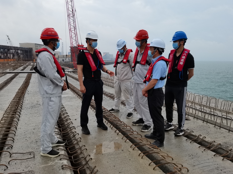 检查组对项目现场进行隐患排查治理.jpg 检查组对项目现场进行隐患排查治理.jpg