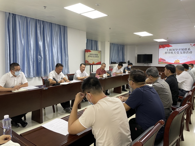 党员干部认真听取谭健文副主任指导发言.jpg
