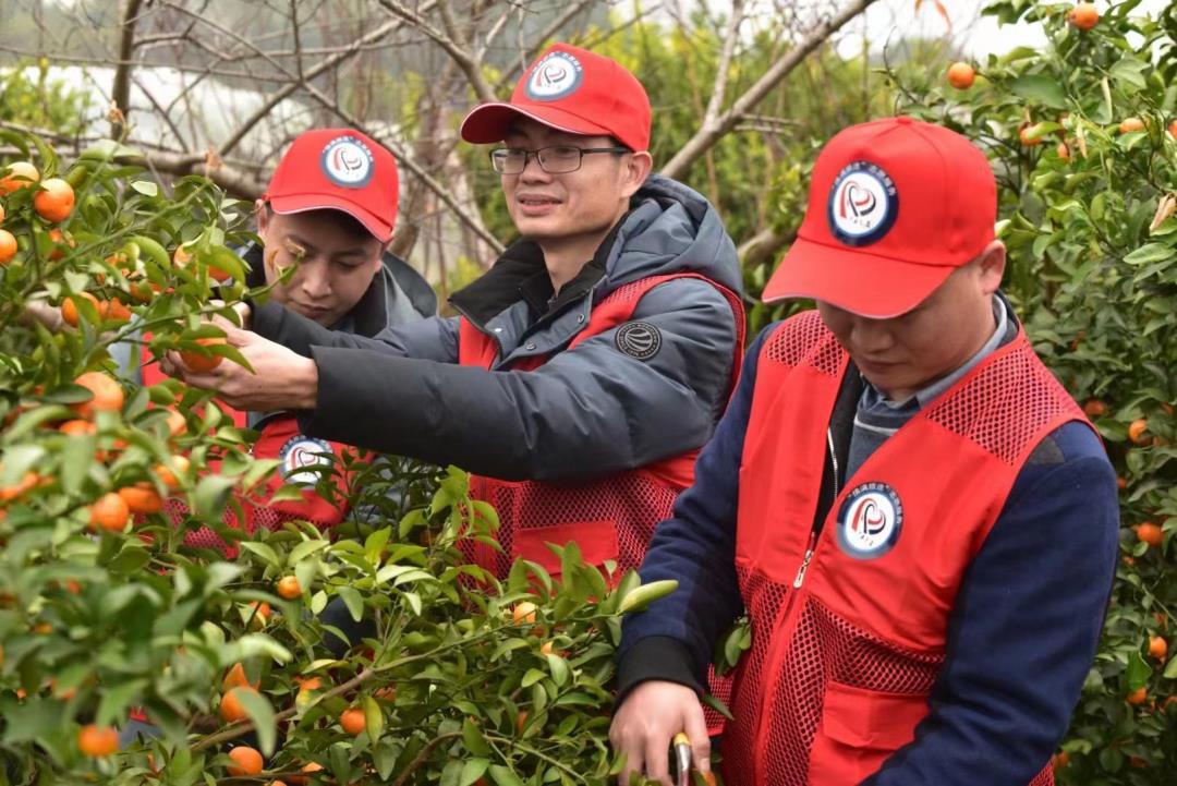 伍志龙.jpg 伍志龙.jpg