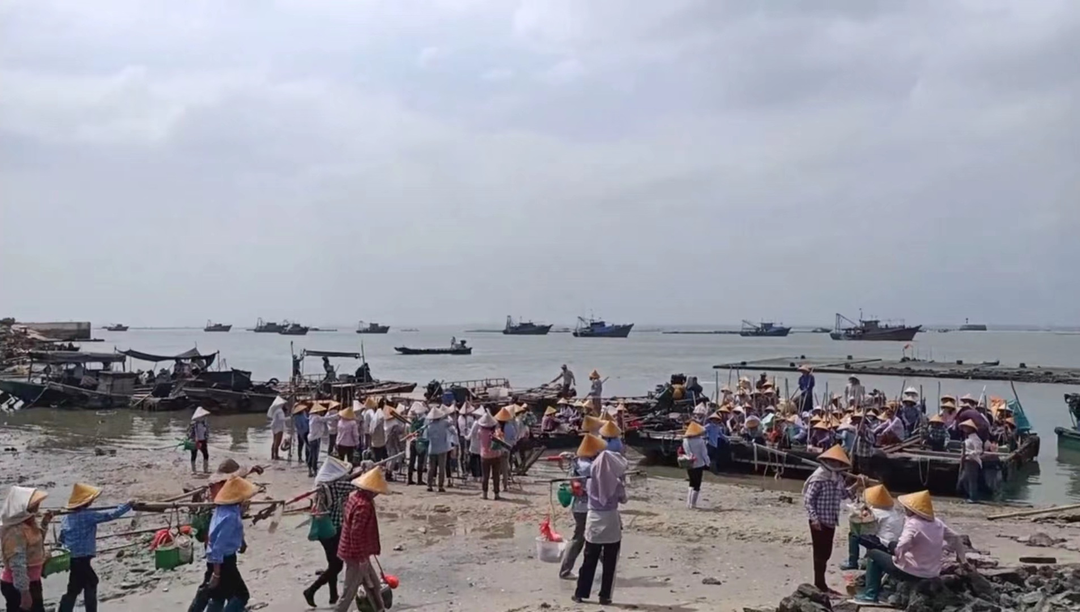 微信图片_20230525103033.png 微信图片_20230525103033.png