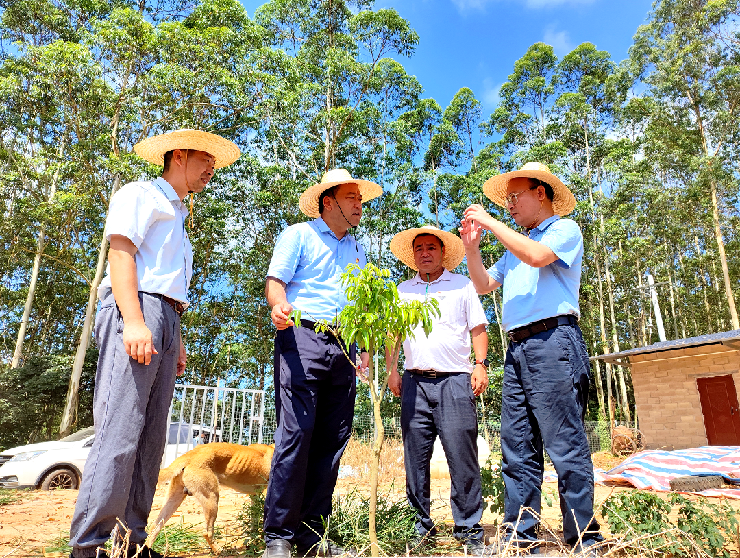 微信图片_20230605192109.png 微信图片_20230605192109.png