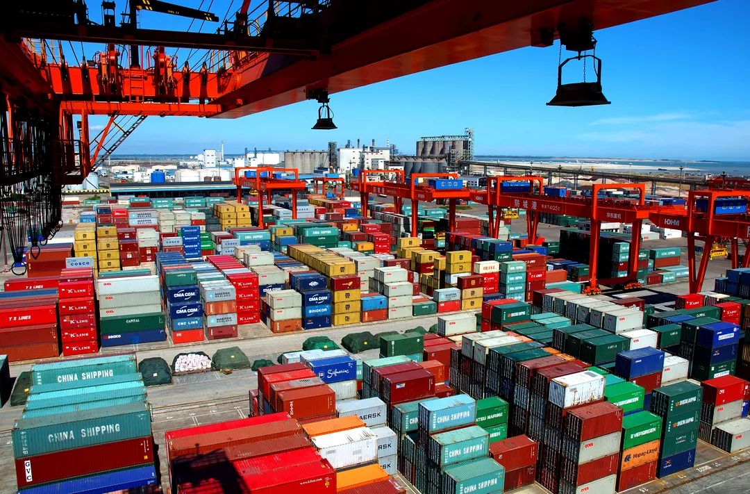 微信图片_20231226114656.jpg 微信图片_20231226114656.jpg