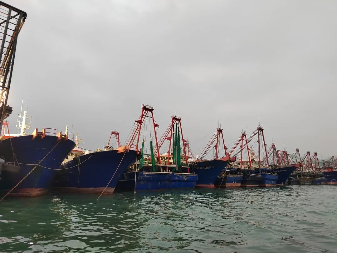 微信图片_20240221081717.jpg 微信图片_20240221081717.jpg