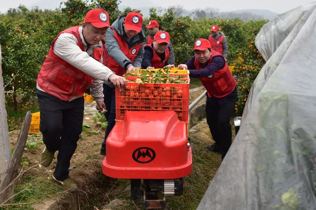 微信图片_20240222083328.jpg 微信图片_20240222083328.jpg