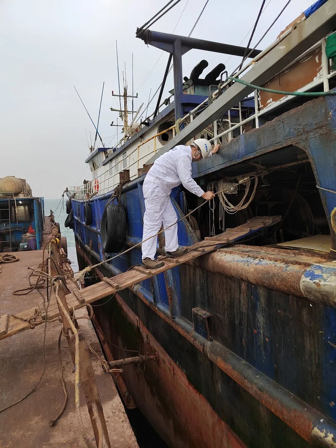 微信图片_20240304081305.jpg 微信图片_20240304081305.jpg