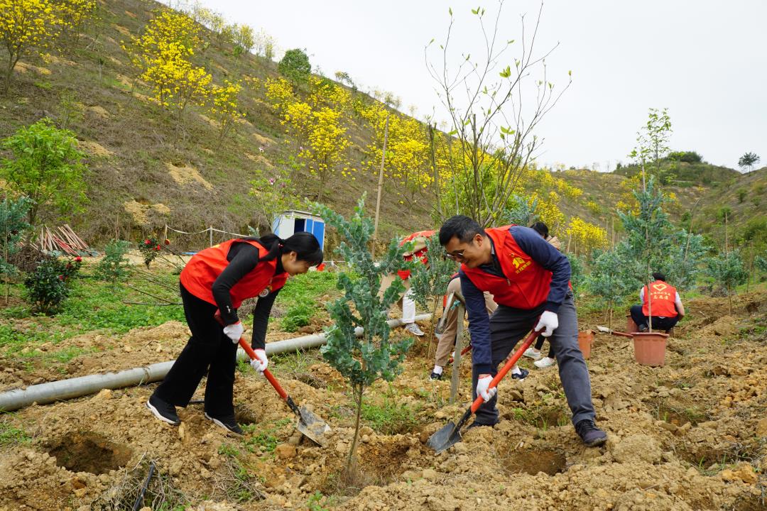 微信图片_20240325084649.jpg 微信图片_20240325084649.jpg