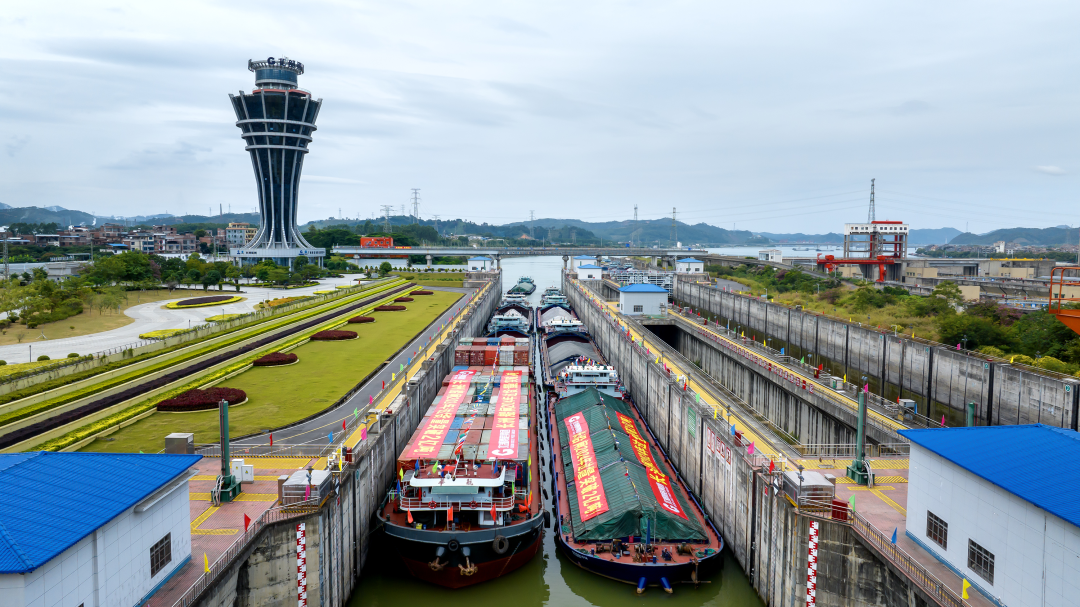 1732155440919078446.png 1.png