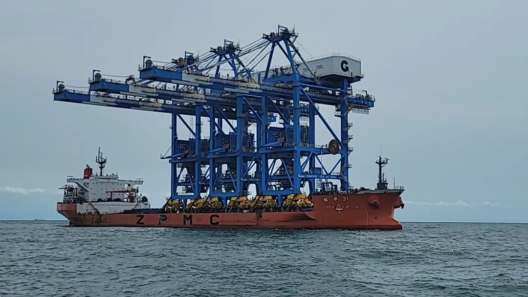 1732155880692061795.jpg 1.jpg