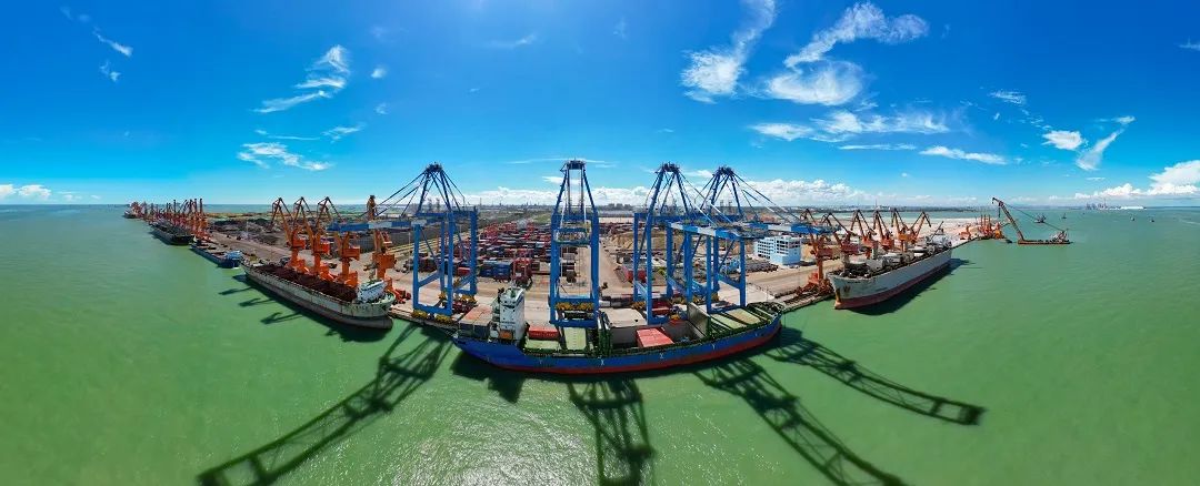 1736386124280014830.jpg 1.jpg