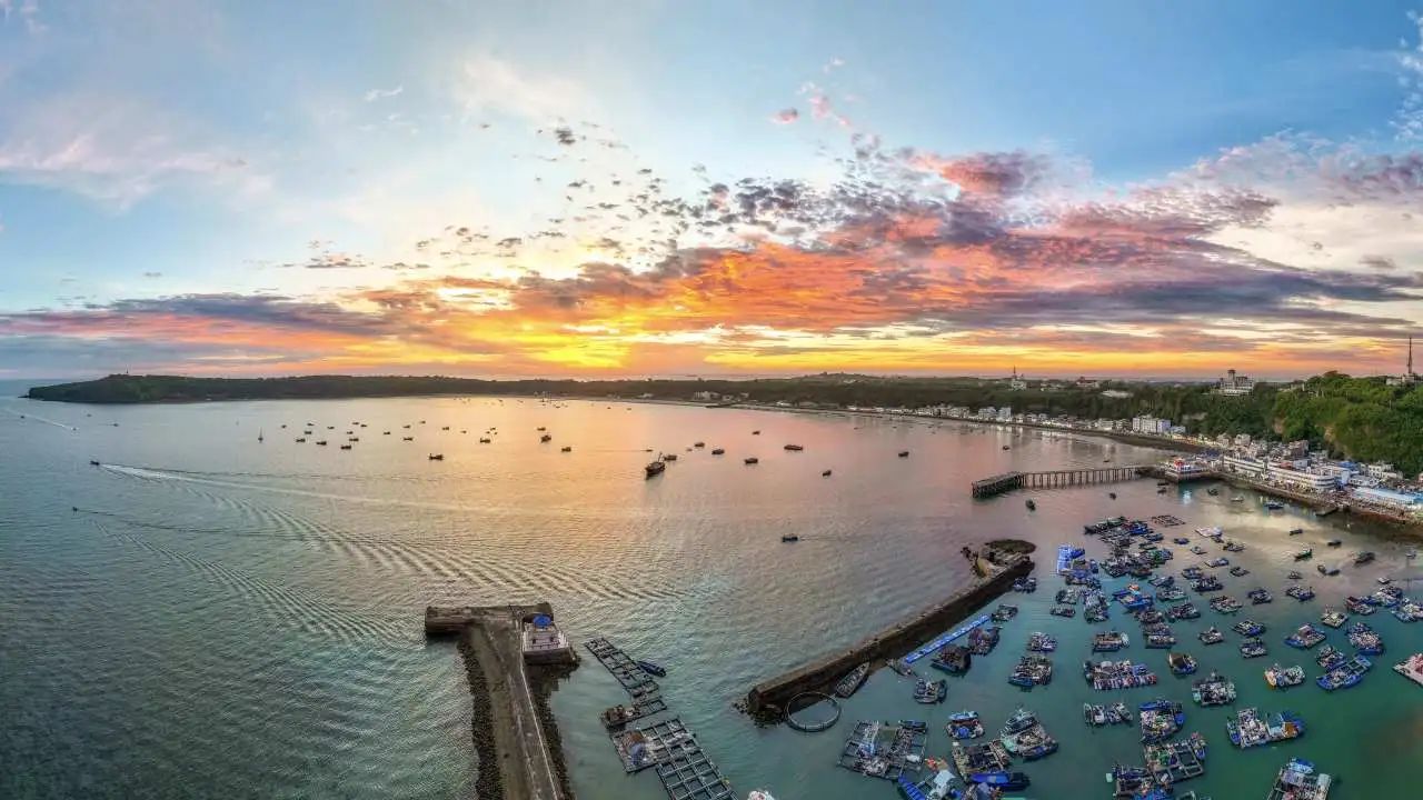 1736387356977010772.jpg 1.jpg