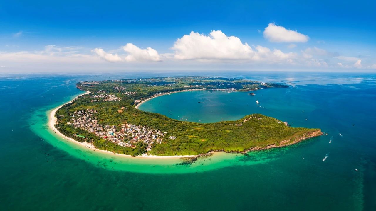 1736387464943031856.jpg 2.jpg