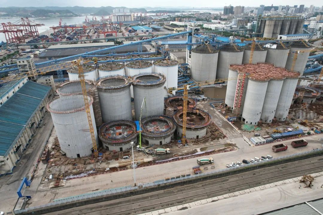 1736838496264078576.jpg 2.jpg