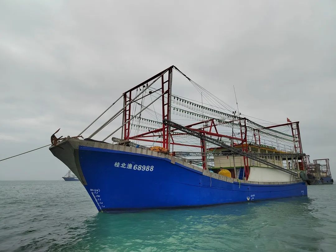 1737102290913061777.jpg 3.jpg