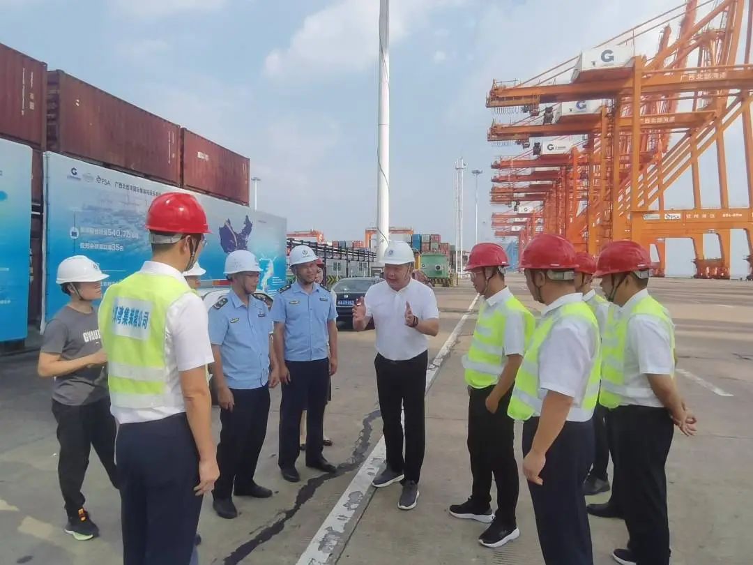 1738896800992065697.jpg 6.jpg