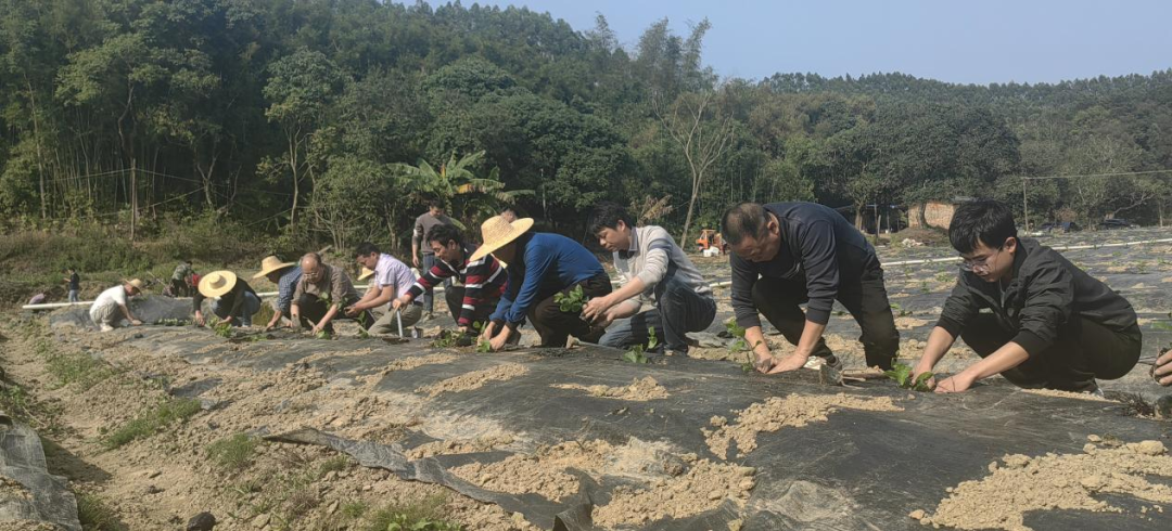 1738896830605059826.png 7.png