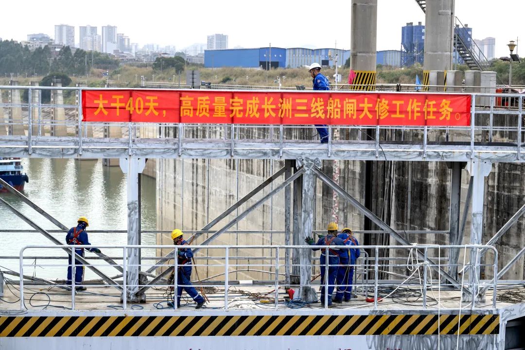 1738897884776059409.jpg 1.jpg