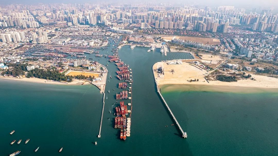 1739002836859062996.jpg 2.jpg