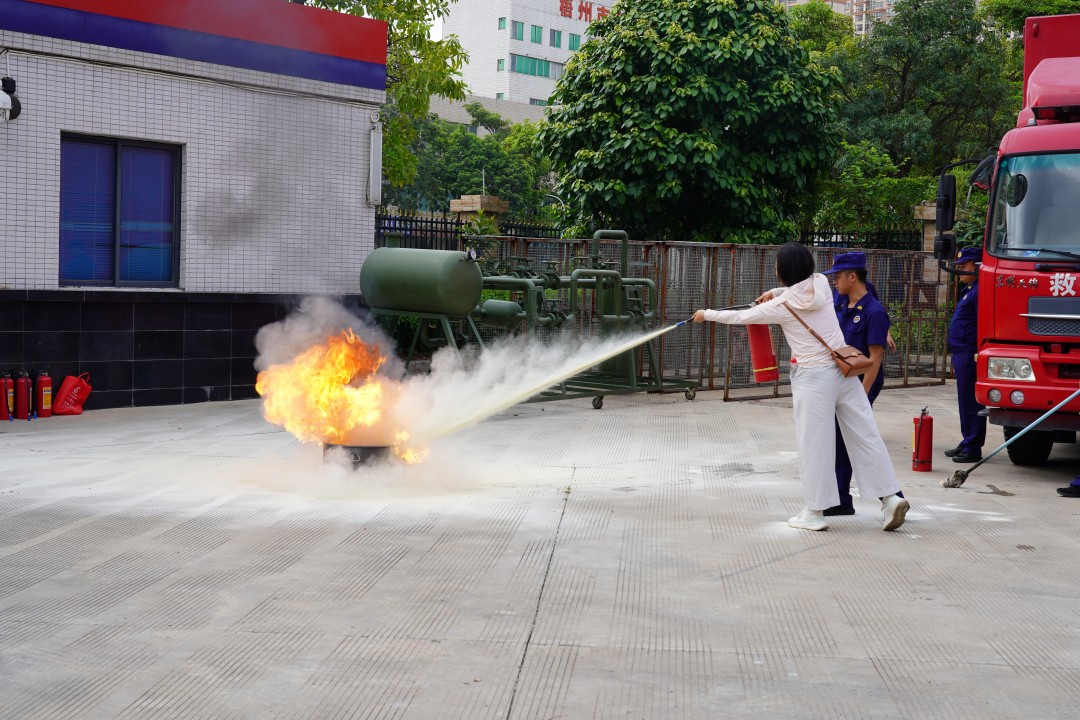 1751622175247039191.jpg DSC06074.jpg