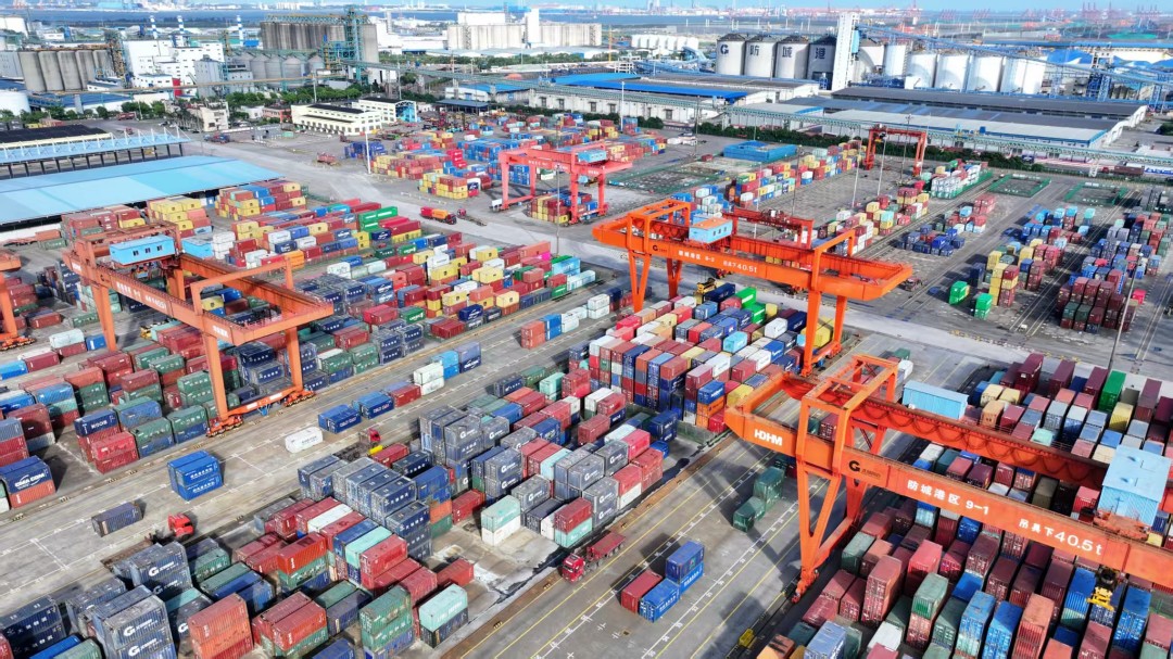 1766039982510072786.jpg 891c6973563cbf9cc8a058af632424ee.jpg