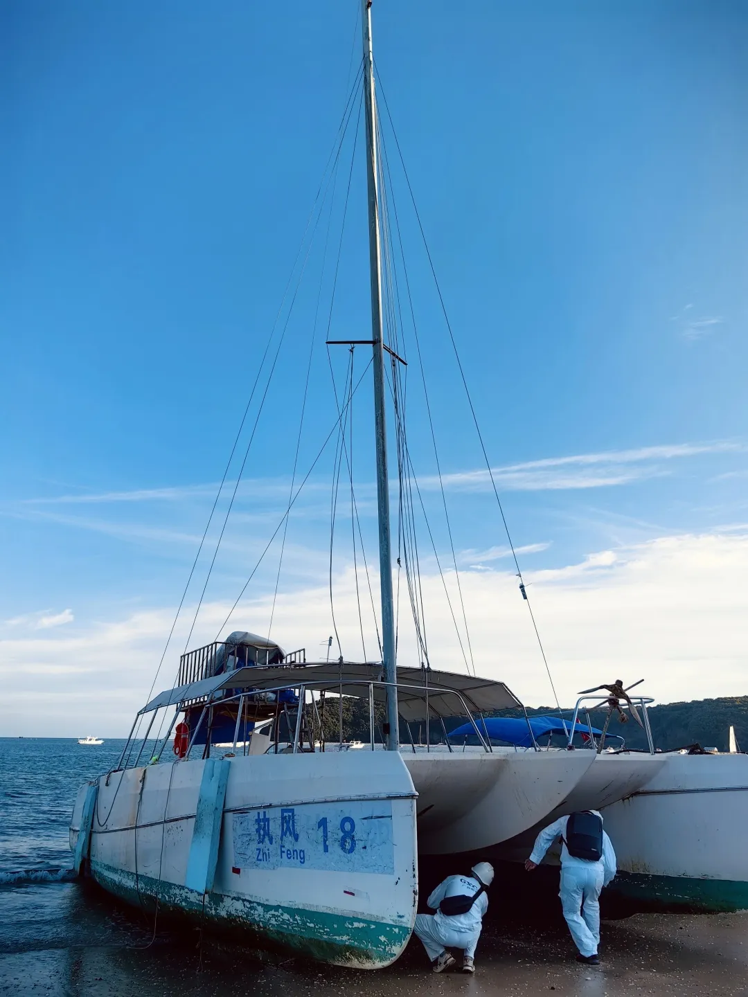 1772424222148044801.png 4420a7b2-9102-40d9-9275-28459c9bbf8a.png